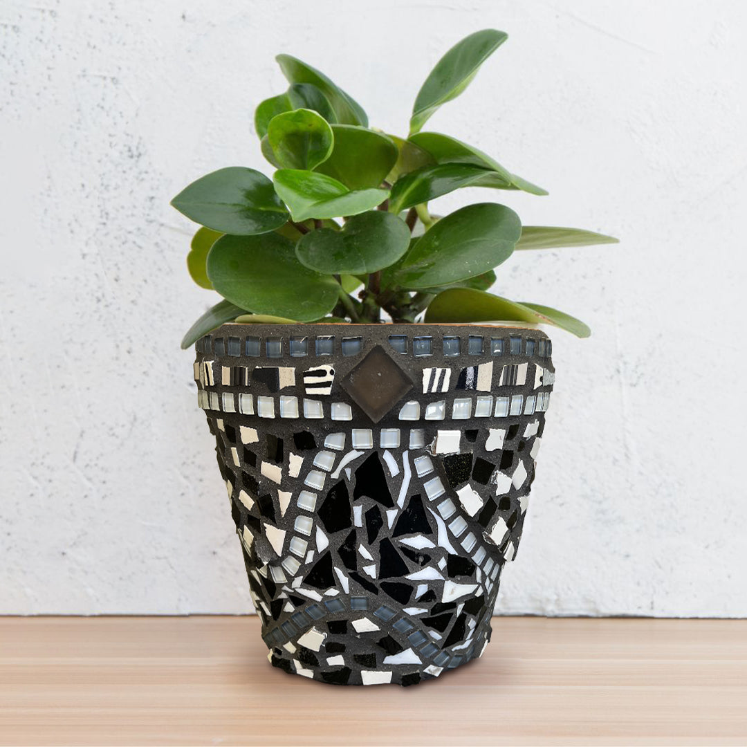 Monochrome Pot