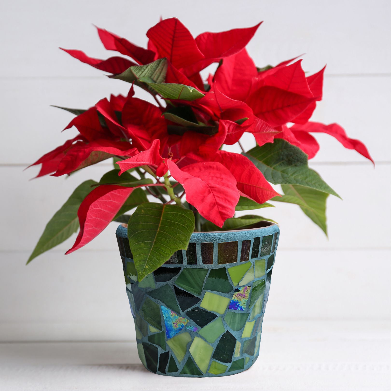 Green Holiday Pot