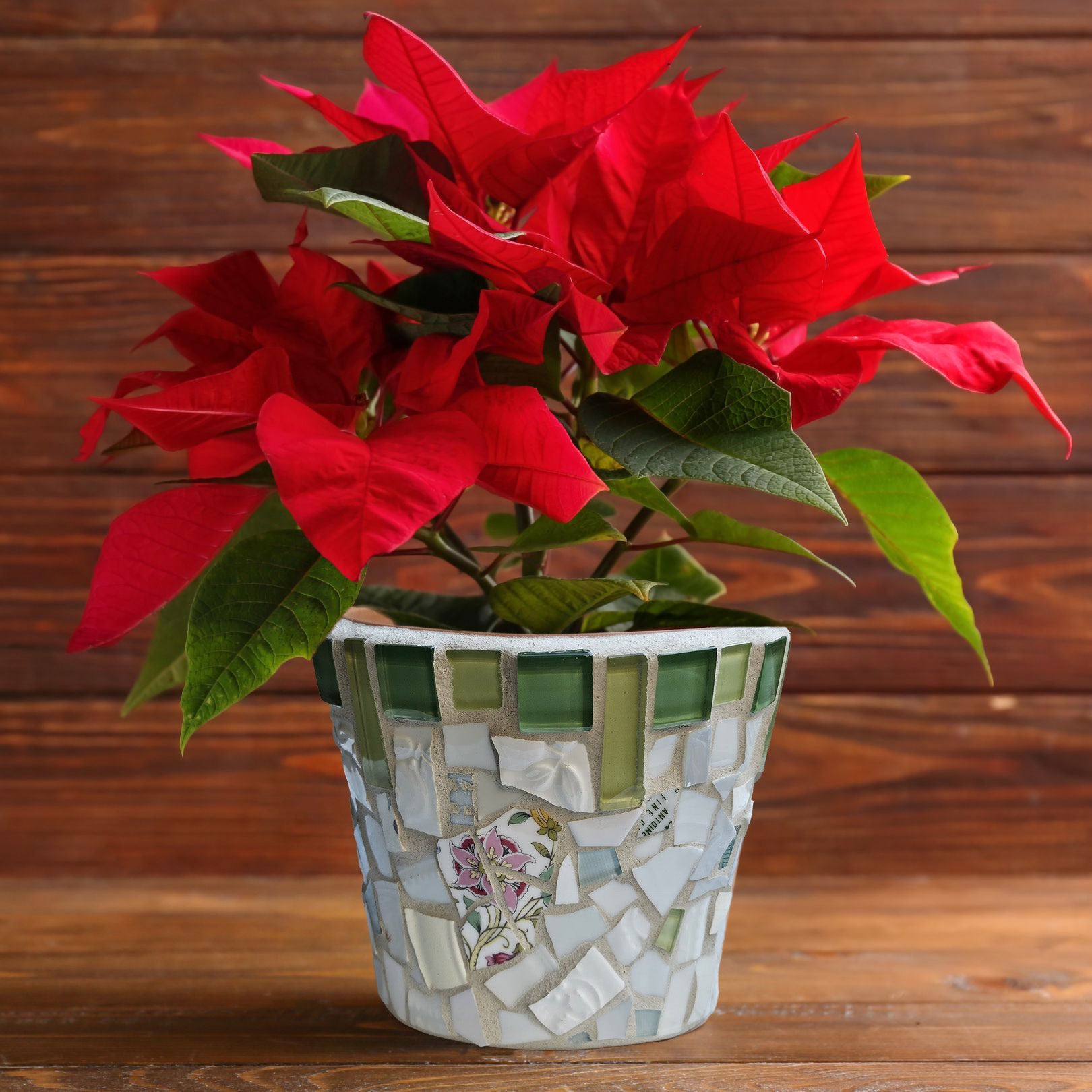 White Holiday Pot